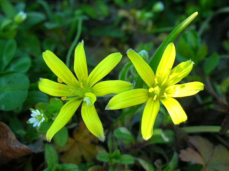 Aria di primavera...